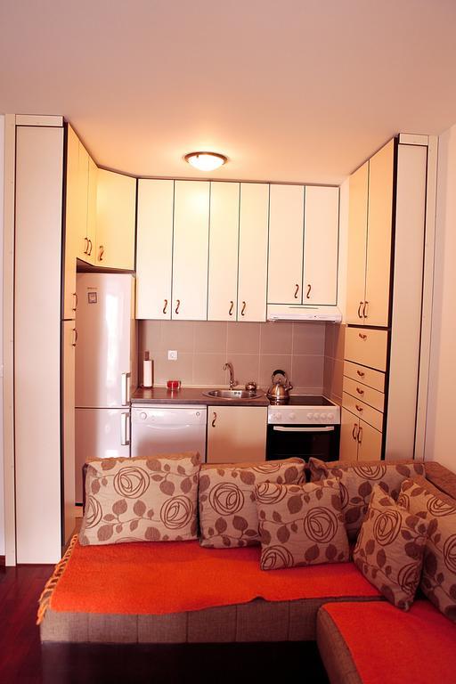 Studio Apartment Nika Andusa Petrovac 部屋 写真