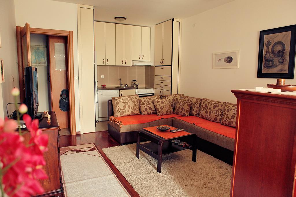 Studio Apartment Nika Andusa Petrovac 部屋 写真